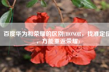 百度华为和荣耀的区别(HONOR，找准定位，方能重返荣耀)
