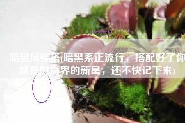 暗黑风穿搭(暗黑系正流行，搭配好了你就是时尚界的新星，还不快记下来)