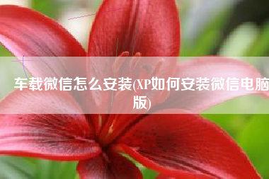 车载微信怎么安装(XP如何安装微信电脑版)