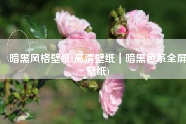 暗黑风格壁纸(高清壁纸｜暗黑色系全屏壁纸)
