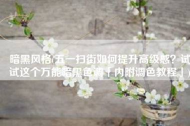 暗黑风格(五一扫街如何提升高级感？试试这个万能暗黑色调「内附调色教程」)