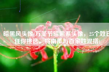 暗黑风头像(万圣节暗黑系头像，25个姓氏任你挑选，将南瓜与百家姓混搭)