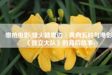 缴枪电影(烽火赣粤边‖奔向五岭与电影《独立大队》的背后故事)