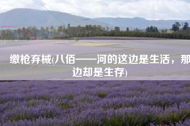 缴枪弃械(八佰——河的这边是生活，那边却是生存)
