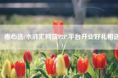 惠心选(水浒汇网贷P2P,平台开业好礼相送)