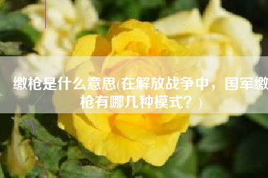 缴枪是什么意思(在解放战争中，国军缴枪有哪几种模式？)