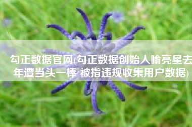勾正数据官网(勾正数据创始人喻亮星去年遭当头一棒 被指违规收集用户数据)
