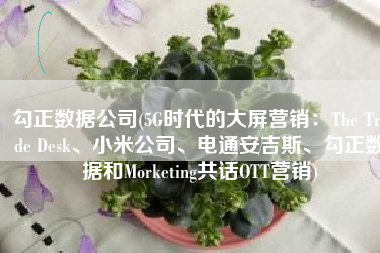 勾正数据公司(5G时代的大屏营销：The Trade Desk、小米公司、电通安吉斯、勾正数据和Morketing共话OTT营销)