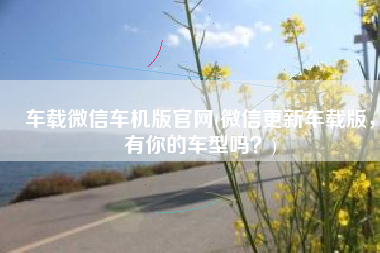 车载微信车机版官网(微信更新车载版，有你的车型吗？)