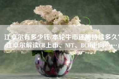 江卓尔有多少钱(本轮牛市还能持续多久？江卓尔解读CB上市、NFT、BCH走向……)