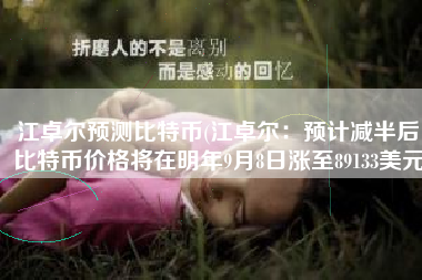 江卓尔预测比特币(江卓尔：预计减半后，比特币价格将在明年9月8日涨至89133美元)