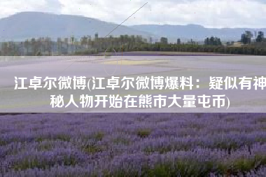 江卓尔微博(江卓尔微博爆料：疑似有神秘人物开始在熊市大量屯币)