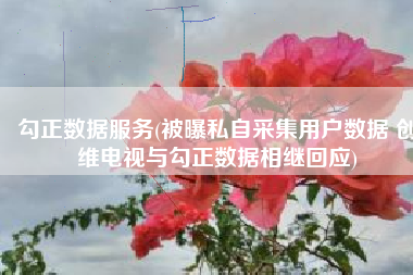 勾正数据服务(被曝私自采集用户数据 创维电视与勾正数据相继回应)
