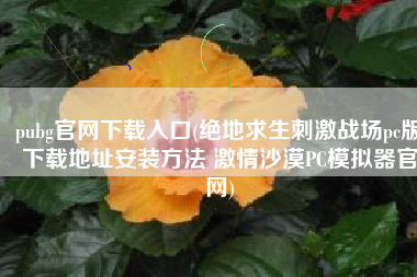 pubg官网下载入口(绝地求生刺激战场pc版下载地址安装方法 激情沙漠PC模拟器官网)