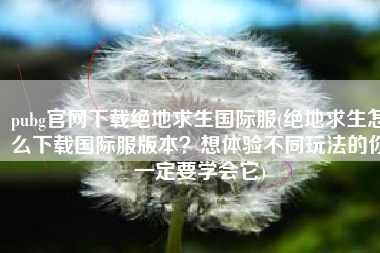 pubg官网下载绝地求生国际服(绝地求生怎么下载国际服版本？想体验不同玩法的你一定要学会它)