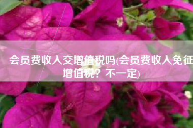 会员费收入交增值税吗(会员费收入免征增值税？不一定)