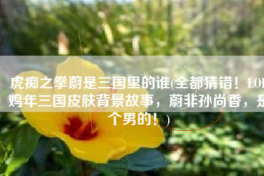 虎痴之拳蔚是三国里的谁(全都猜错！LOL鸡年三国皮肤背景故事，蔚非孙尚香，是个男的！)