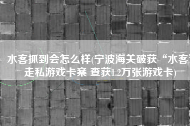 水客抓到会怎么样(宁波海关破获“水客”走私游戏卡案 查获1.2万张游戏卡)