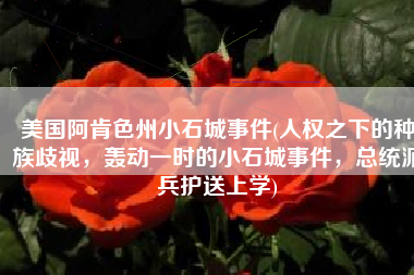 美国阿肯色州小石城事件(人权之下的种族歧视，轰动一时的小石城事件，总统派兵护送上学)