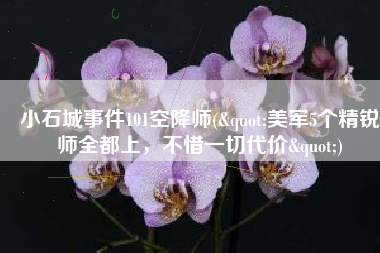 小石城事件101空降师("美军5个精锐师全都上，不惜一切代价")