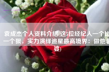 袁成杰个人资料介绍(这5位经纪人一个比一个狠，实力演绎追星最高境界：做他老婆)