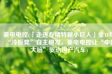 菱电电控(「走进专精特新小巨人」坐11年“冷板凳”自主研发，菱电电控让“中国大脑”驱动国产汽车)