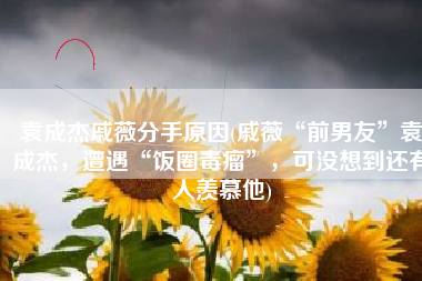 袁成杰戚薇分手原因(戚薇“前男友”袁成杰，遭遇“饭圈毒瘤”，可没想到还有人羡慕他)