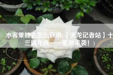 水客乘鲤去怎么获得(【天龙记者站】十三周年庆——重磅来袭！)