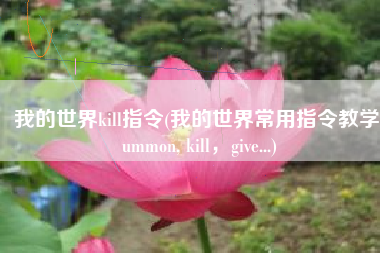 我的世界kill指令(我的世界常用指令教学summon, kill，give...)