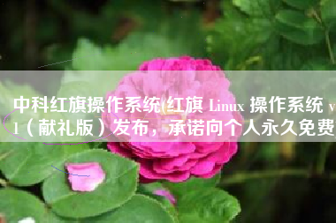 中科红旗操作系统(红旗 Linux 操作系统 v11（献礼版）发布，承诺向个人永久免费)