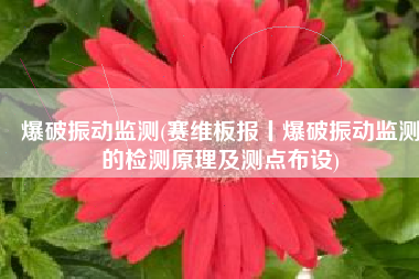 爆破振动监测(赛维板报丨爆破振动监测的检测原理及测点布设)