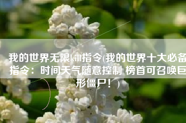 我的世界无限kill指令(我的世界十大必备指令：时间天气随意控制 榜首可召唤巨形僵尸！)
