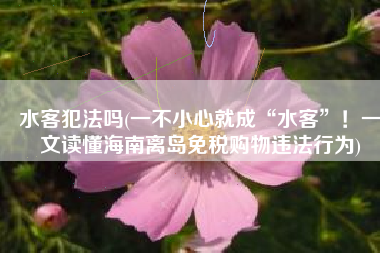 水客犯法吗(一不小心就成“水客”！一文读懂海南离岛免税购物违法行为)