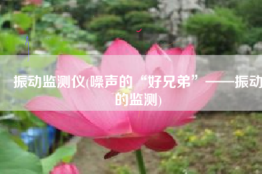 振动监测仪(噪声的“好兄弟”——振动的监测)