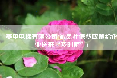 菱电电梯有限公司(减免社保费政策给企业送来“及时雨”)