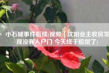 小石城事件后续(视频｜沈阳业主收房发现没有入户门 今天终于赔偿了)