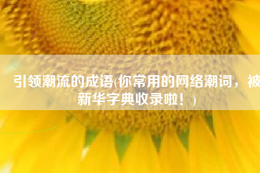 引领潮流的成语(你常用的网络潮词，被新华字典收录啦！)