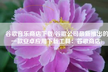 谷歌音乐商店下载(谷歌公司最新推出的一款安卓应用下载工具：谷歌商店)