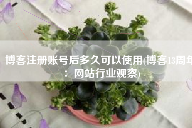 博客注册账号后多久可以使用(博客13周年：网站行业观察)