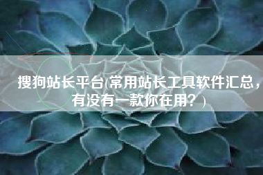 搜狗站长平台(常用站长工具软件汇总，有没有一款你在用？)