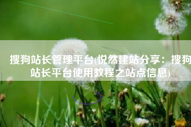 搜狗站长管理平台(悦然建站分享：搜狗站长平台使用教程之站点信息)