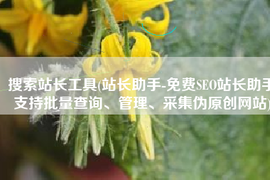 搜索站长工具(站长助手-免费SEO站长助手支持批量查询、管理、采集伪原创网站)