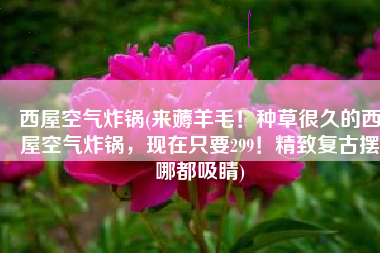 西屋空气炸锅(来薅羊毛！种草很久的西屋空气炸锅，现在只要299！精致复古摆哪都吸睛)