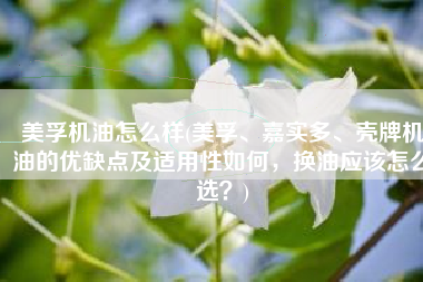 美孚机油怎么样(美孚、嘉实多、壳牌机油的优缺点及适用性如何，换油应该怎么选？)