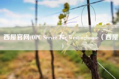 西屋官网(OPC Server For Westinghouse（西屋）)