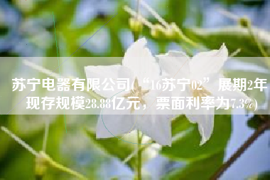 苏宁电器有限公司(“16苏宁02”展期2年：现存规模28.88亿元，票面利率为7.3%)