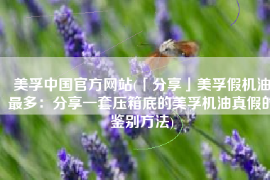 美孚中国官方网站(「分享」美孚假机油最多：分享一套压箱底的美孚机油真假的鉴别方法)