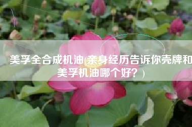美孚全合成机油(亲身经历告诉你壳牌和美孚机油哪个好？)