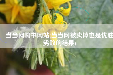 当当网购书网站(当当网被卖掉也是优胜劣败的结果)