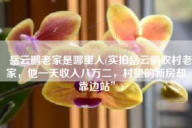 岳云鹏老家是哪里人(实拍岳云鹏农村老家，他一天收入八万二，村里的新房却“靠边站”)
